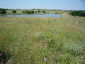 Землеустроители Днепропетровской области уже отстрелялись на этот год