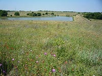 Землеустроители Днепропетровской области уже отстрелялись на этот год