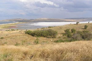 Запорожье ускорило наполнение земкадастра в 50 раз