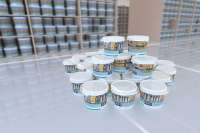 На рынок Украины выходит новый производитель экологических красок и покрытий