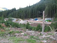 Во Львовской области лес застраивают коттеджами