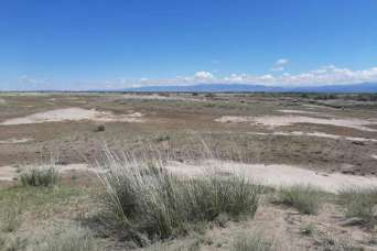 У Шелкового пути обнаружили ответвление