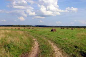 Львову вернули землю на 33 млн. грн.