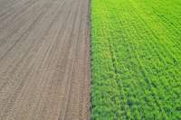 Госпредприятиям разрешат зарабатывать на земле