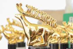 Киевский кинофестиваль &quot;Молодость&quot; пройдет в Гамбурге