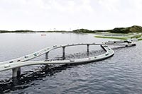 Cпроектирован уникальный право- левосторонний мост