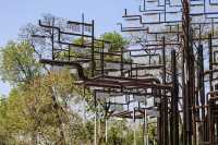 Запорiжжя розбудує меморiал &quot;Посадка. Дерево пам&#039;ятi&quot;