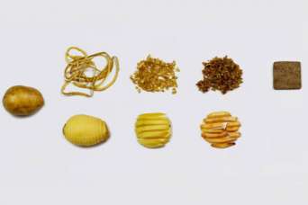 Традиционные строительные материалы заменят картофельной кожурой