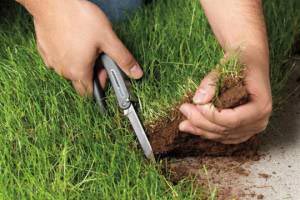 У Львова есть подозрения о махинациях с землей для бойцов АТО