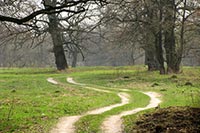 На бедном Жуковом острове опять нашли незаконно переданную землю