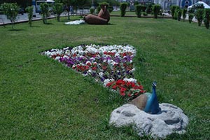 В Обухове долгое время никто не хотел ухаживать за цветами