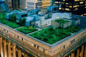 3 способа уберечь природу с помощью архитектуры