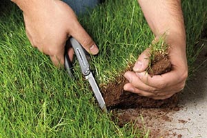 Киевские «мертвые души» получили землю на $3 млн.