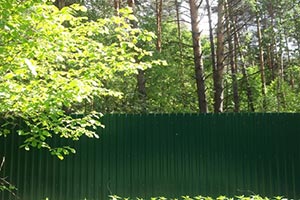 Суд остановил застройку участка депутата в лесу 