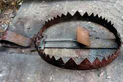 путин сам себя загнал в информационный капкан