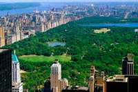 Впервые в мире в США создана  интерактивная карта городских деревьев