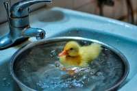 В «Киевтеплоэнерго» сообщили расценки на горячую воду за июнь 2021 года