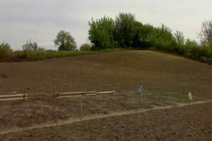 Сельский голова под Киевом осуществлял махинации с землей