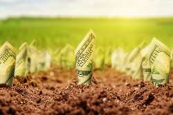 Иностранцев хотят допустить к земле