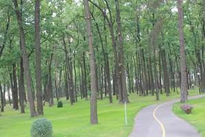 Ирпеньские чиновники отхватили лесные земли для масштабного строительства