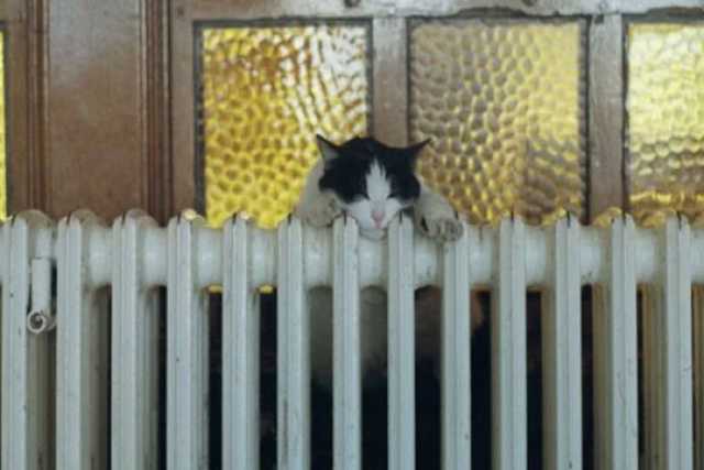 У Києвi розпочинається опалювальний сезон