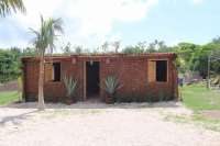 Водоросли оправдали себя в качестве стройматериала