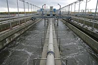 В тендере с засекреченными данными приняли участие компании одного владельца