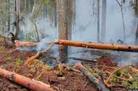 Из-за аномальных пожаров на севере России нечем дышать