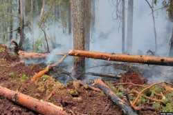 Из-за аномальных пожаров на севере России нечем дышать