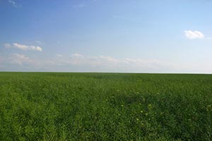 Тернопольский земельщик незаконно отдал 2 га земли