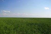 Тернопольский земельщик незаконно отдал 2 га земли