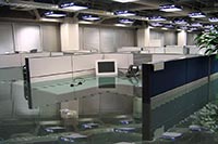 В реконструкцию моста вмешались непредвиденные обстоятельства