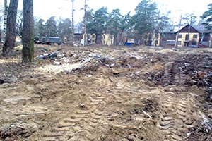 В Киеве опасно рубить деревья для застройки