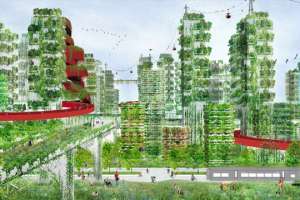 На смену зеленым небоскребам придут города-леса