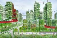 На смену зеленым небоскребам придут города-леса