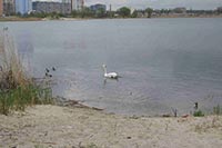 Прокуратура не может вернуть Киеву 26 га земли