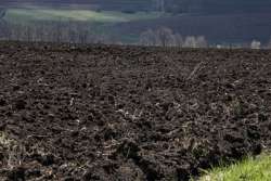 За и против отмены моратория на продажу земель