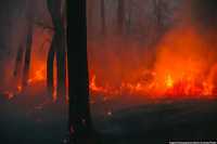 Война в Украине лишила российских пожарных самолетов