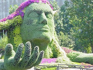 КО «Киевзеленстрой» в цветах показало, как крестили Русь 