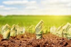 Стоимость земли после снятия моратория удвоится