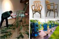 Курьезы: в Англии есть ферма по выращиванию дизайнерской мебели. Фото и Видео