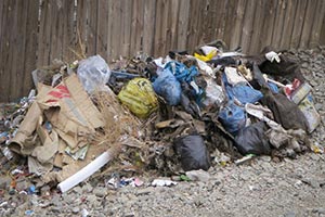 Из центра Киева вывезено уже более 2 тыс. т мусора