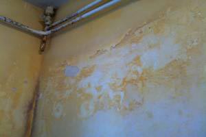 После дорого ремонта гимназия стала зарастать грибком