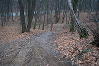 Возле парка «Дубки» появится административное здание