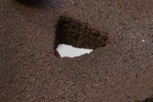 Ученые печатают кирпичи из лунной пыли и солнечного света