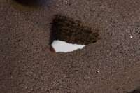 Ученые печатают кирпичи из лунной пыли и солнечного света