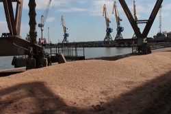 Эксперт рассказал о возможных вариантах возобновления экспорта из Украины