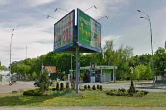 Київ почав озеленяти територiї, якi постраждали внаслiдок росiйської агресiї