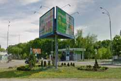 Київ почав озеленяти територiї, якi постраждали внаслiдок росiйської агресiї