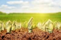 Конституционность моратория на продажу земли не подлежит сомнению